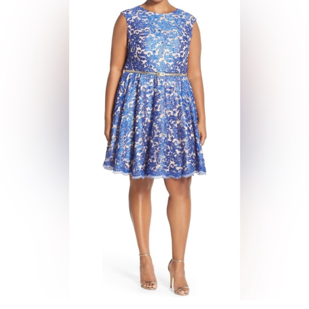 Eliza J Blue Lace Sleeveless Dress